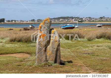 Menhir of Toeno - megalithic monument - lonely menhir on the coast at Trebeurden in Brittany 107391907