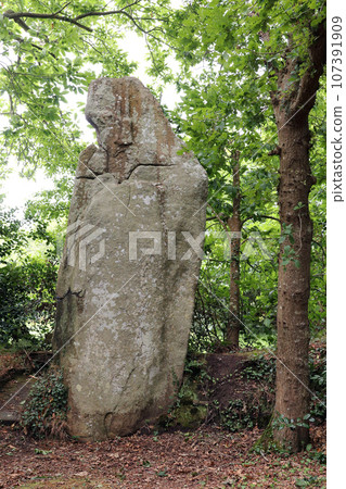 Menhir La Bonne Femme - in English The Good Woman - in Veades near Trebeurden in Brittany Menhir La Bonne Femme - in English The Good Woman - in Veades near Trebeurden in Brittany 107391909