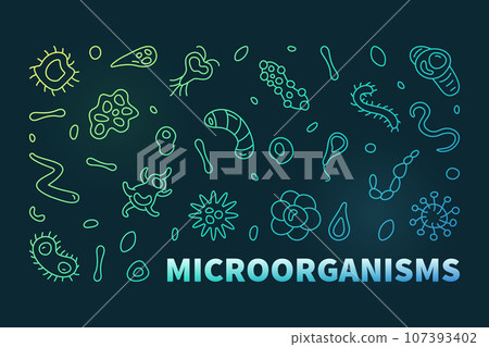 Microorganisms vector Micro Organisms concept linear colored horizontal banner. Microorganism illustration in line style 107393402