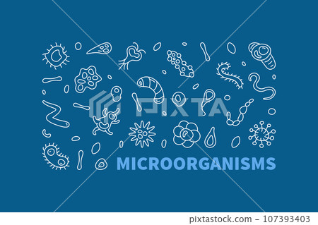 Microorganisms vector Micro Organisms concept outline blue horizontal banner. Microorganism illustration Microorganisms vector Micro Organisms concept outline blue horizontal banner. Microorganism illustration 107393403