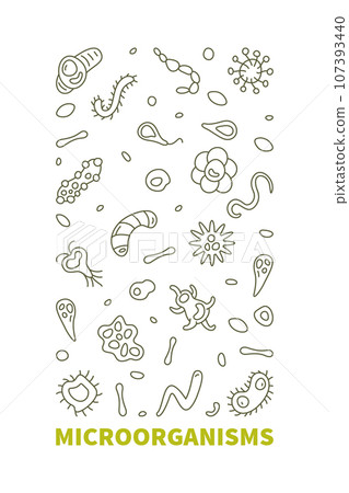 Microorganisms vector Micro Organisms concept outline vertical banner Microorganisms vector Micro Organisms concept outline vertical banner 107393440