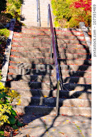 樓梯上的影子 107393469