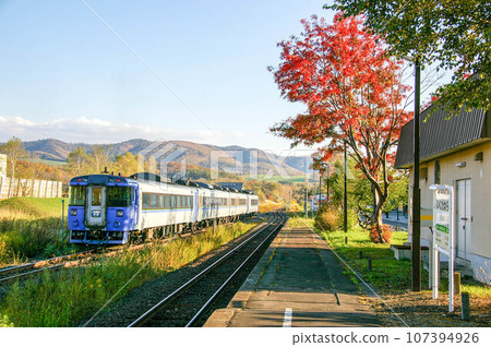Limited express ``Taisetsu'' Kiha 183 series departing from Ikutawara Station on the Sekihoku Main Line 107394926