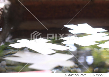 片代漂浮在水面上 107395538