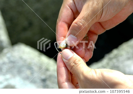 用活餌釣魚,瞄準根魚 用活餌釣魚,瞄準根魚 107395546