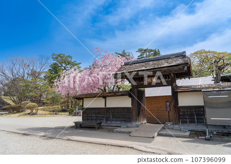 春天櫻花盛開時，福島縣會津若松市，會津若松城內的臨閣茶室外觀 107396099