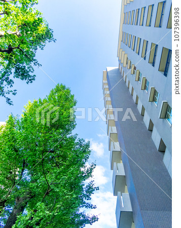 Scenery of Tokyo: blue sky, street trees, and skyscrapers 107396398