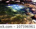 Transparent river 107396961