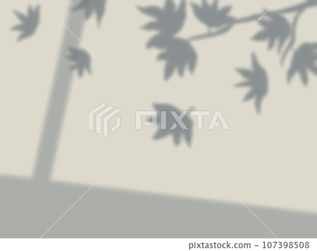 樹葉和窗戶陰影的背景反射在牆上 107398508