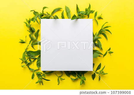 Wreath frame made of empty paper blank with space for text and mint leaves on colored background. . Mint Pattern. Flat lay. Top view 107399008