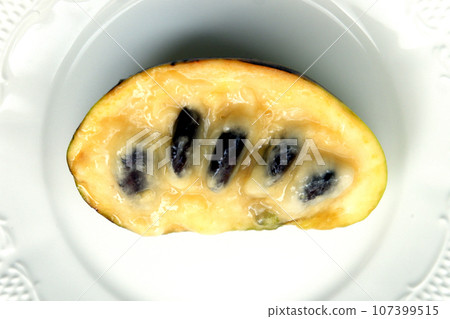 Pawpaw, fruit native to North America Pawpaw, fruit native to North America 107399515