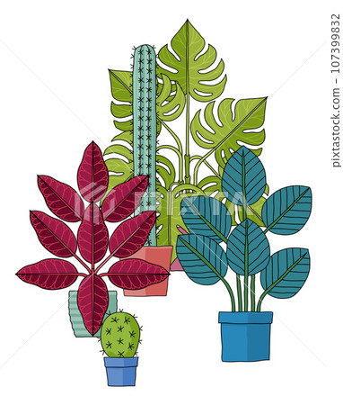 House Plants Pots Cartoon Houseplants Illustration House Plants Pots Cartoon Houseplants Illustration 107399832