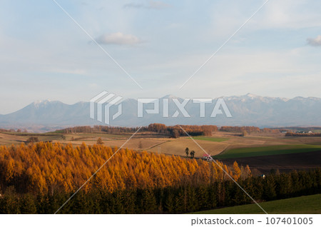 Hilly area with golden larch forest and Tokachidake mountain range Hilly area with golden larch forest and Tokachidake mountain range 107401005