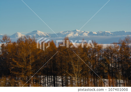 Larch forest of late autumn and Tokachi dake peak Larch forest of late autumn and Tokachi dake peak 107401008