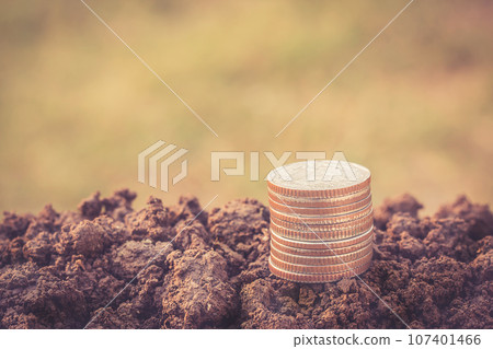 Money coin stack growing on ground with blurred background 107401466