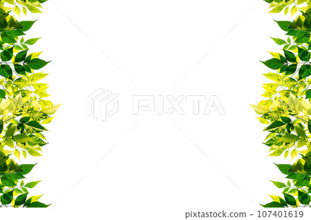 Green leaves frame isolated on white background Green leaves frame isolated on white background 107401619