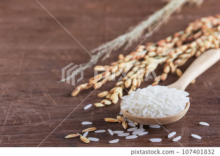 Close up wheat or paddy rice on wooden table Close up wheat or paddy rice on wooden table 107401832