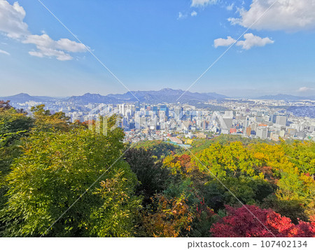 Skyscraper scene of high rise buildings and apartments in Seoul from Namsan mountaini lookout in the afternoon with beautiful colourful foliage 107402134