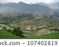 Aerial view of Sapa rice terraces in Vietnam. 107402819