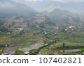 Aerial view of Sapa rice terraces in Vietnam. 107402821