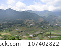 Aerial view of Sapa rice terraces in Vietnam. 107402822