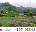 Cat Cat Village, Sapa Vietnam. 107403348