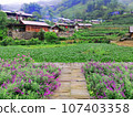 Cat Cat Village, Sapa Vietnam. 107403358