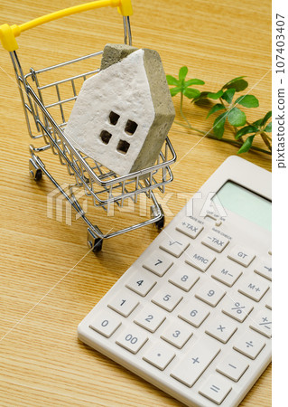 計算器和微型房屋 計算器和微型房屋 107403407