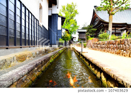 Hida Furukawa/Seto River and Shirakabe Dozogai (near Enkoji Temple) (Hida City, Gifu Prefecture) [2023.9] 107403629