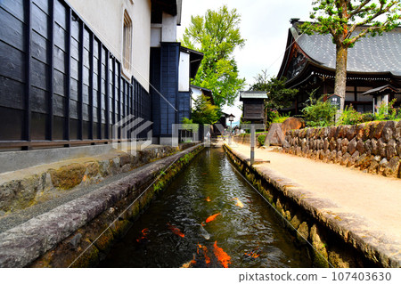 Hida Furukawa/Seto River and Shirakabe Dozogai (near Enkoji Temple) (Hida City, Gifu Prefecture) [2023.9] 107403630