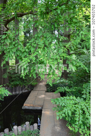 green promenade green promenade 107403702