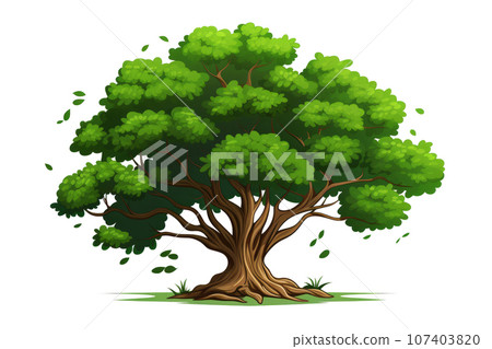 Huge verdant deciduous tree with a broad canopy on a clean white background. Generative AI 107403820