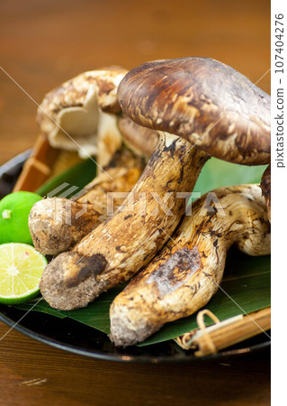 Matsutake Matsutake 107404276