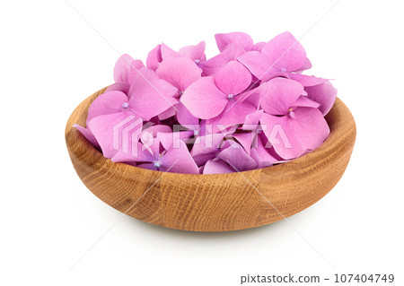 Pink Hydrangea flower in wooden bowl isolated on white background 107404749