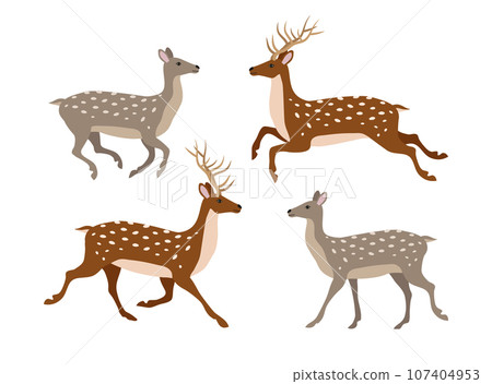 Vector set of flat hand drawn deer Vector set of flat hand drawn deer 107404953