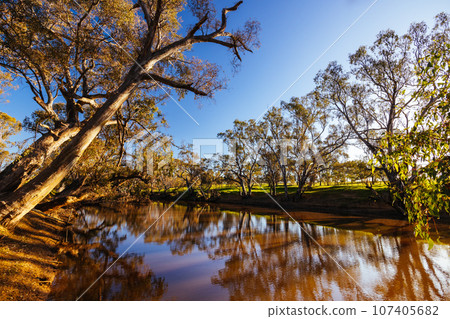 Campaspe River in Axedale in Australia 107405682
