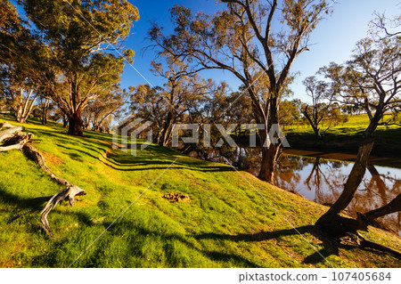 Campaspe River in Axedale in Australia 107405684