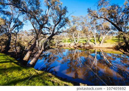 Campaspe River in Axedale in Australia 107405692