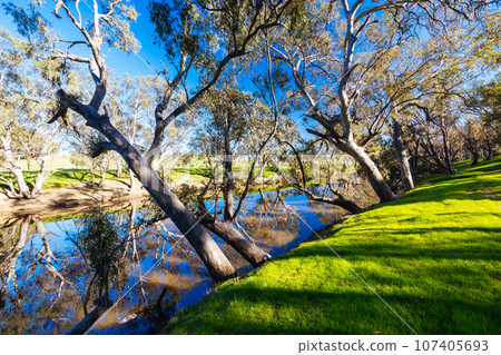 Campaspe River in Axedale in Australia 107405693