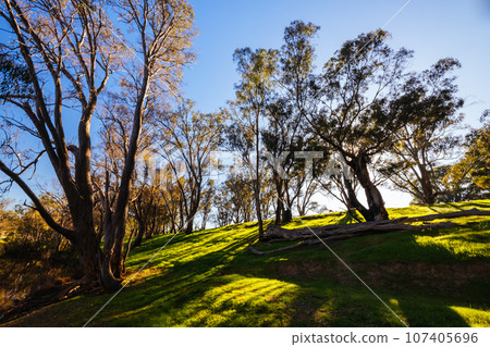 Campaspe River in Axedale in Australia 107405696