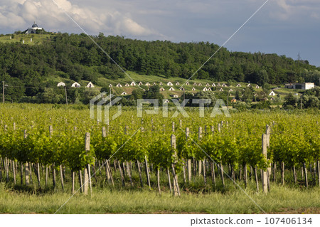 Traditional wine cellars (Gombos-hegyi pincesor) in Hercegkut, UNESCO site, Great Plain, North Hungary Traditional wine cellars (Gombos-hegyi pincesor) in Hercegkut, UNESCO site, Great Plain, North Hungary 107406134