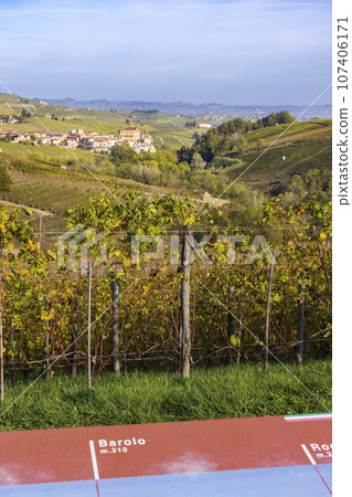 autumnal vineyards near Barolo, Piedmont, Italy autumnal vineyards near Barolo, Piedmont, Italy 107406171