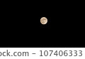 Moon  107406333