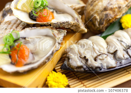 Image of oysters 107406378