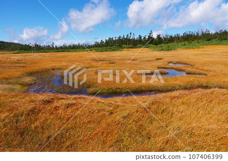 A view of the wetlands in Hachimantai, which straddles Akita and Iwate prefectures. A view of the wetlands in Hachimantai, which straddles Akita and Iwate prefectures. 107406399