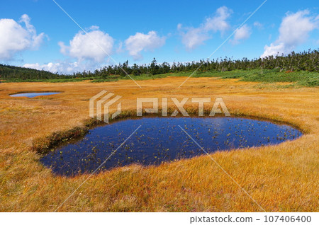 A view of the wetlands in Hachimantai, which straddles Akita and Iwate prefectures. A view of the wetlands in Hachimantai, which straddles Akita and Iwate prefectures. 107406400