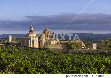 Royal Abbey of Santa Maria de Poblet, cistercian monastery, Catalonia, Spain 107406506