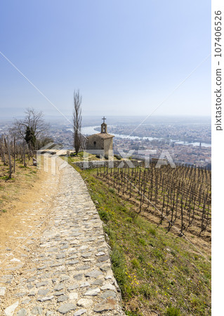 Grand cru vineyard and Chapel of Saint Christopher, Tain l'Hermitage, Rhone-Alpes, France 107406526