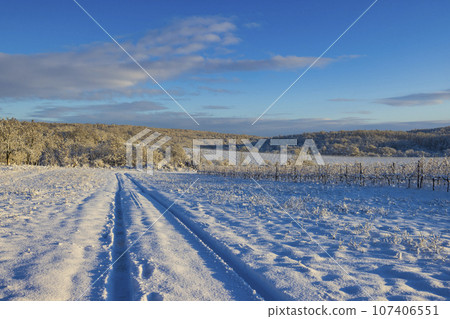 Landscape near Hnanice, NP Podyji, Southern Moravia, Czech Republic 107406551