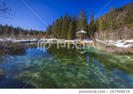 winter landscape in Zelenci, Slovenia 107406610